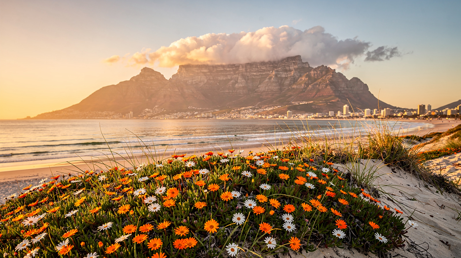 Cape Town, in whale season