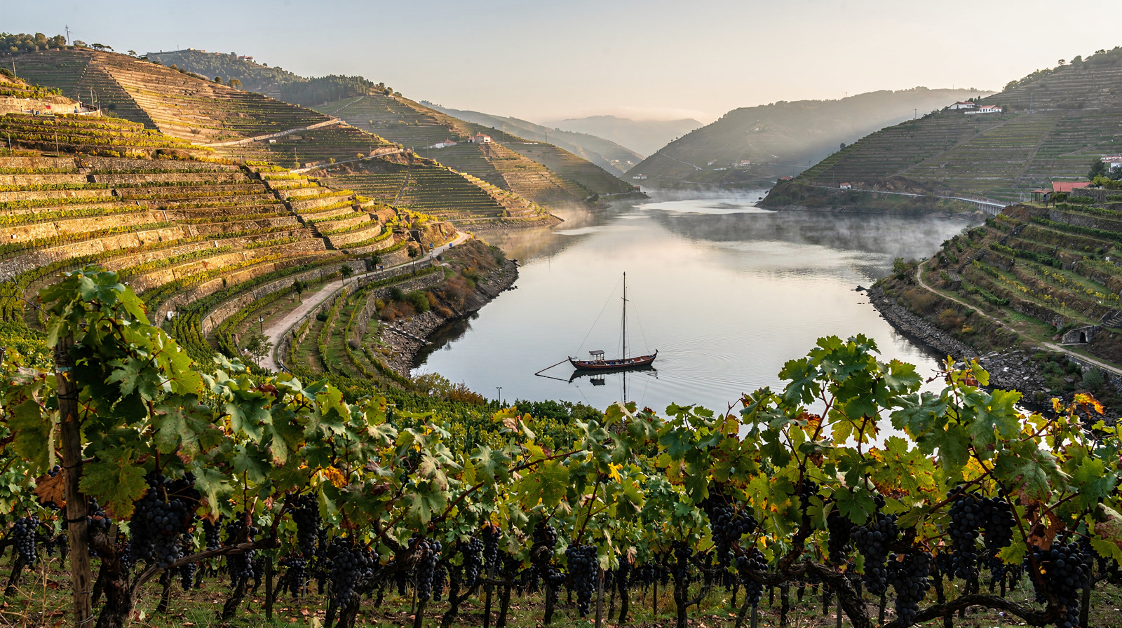 The case for the Douro Valley at harvest